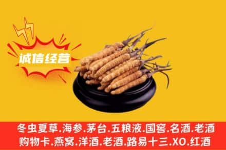 龙川县回收冬虫夏草